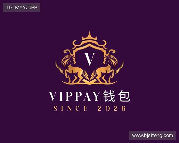 关于VipPay钱包